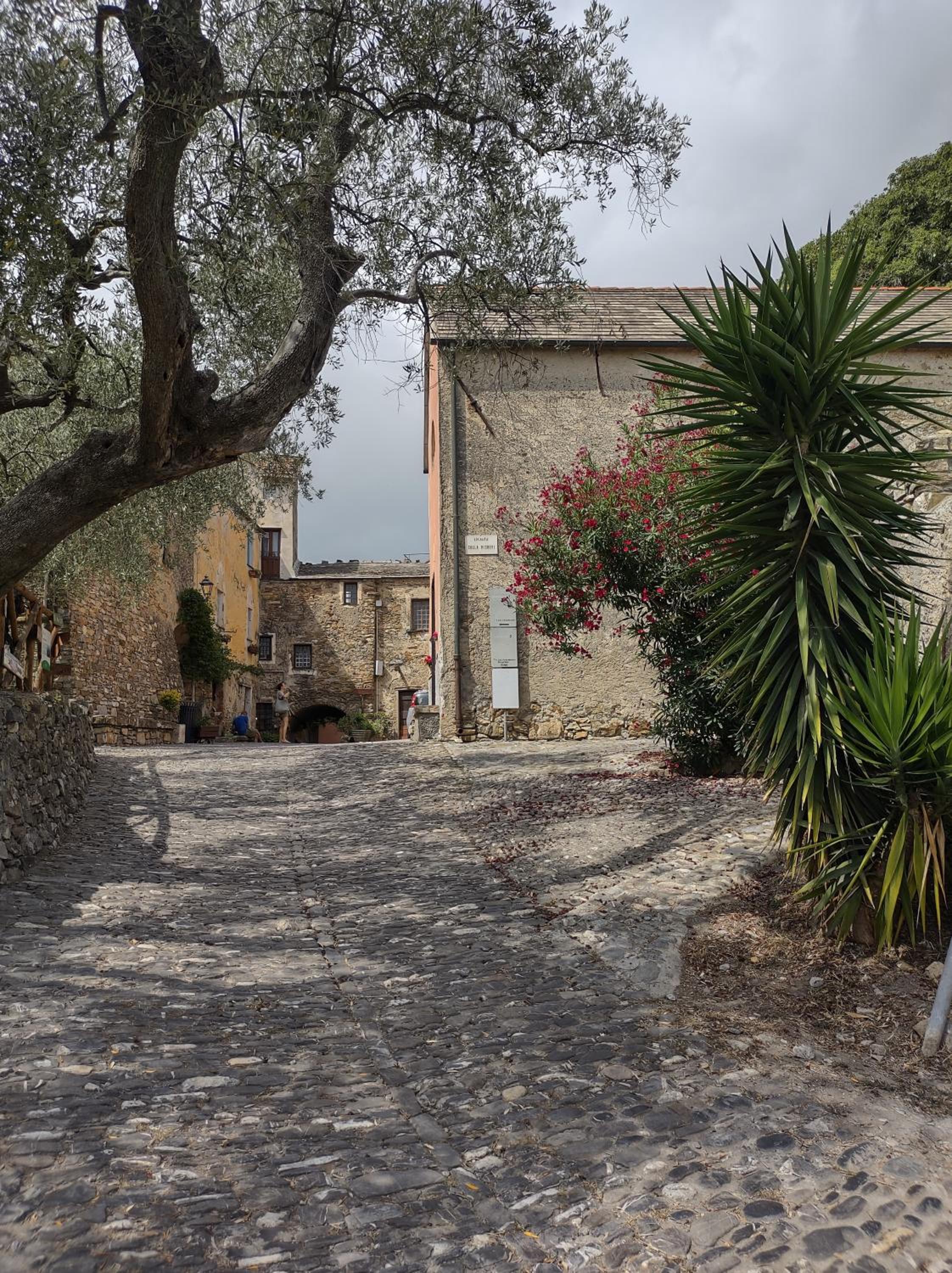 Casa la meridiana view 4
