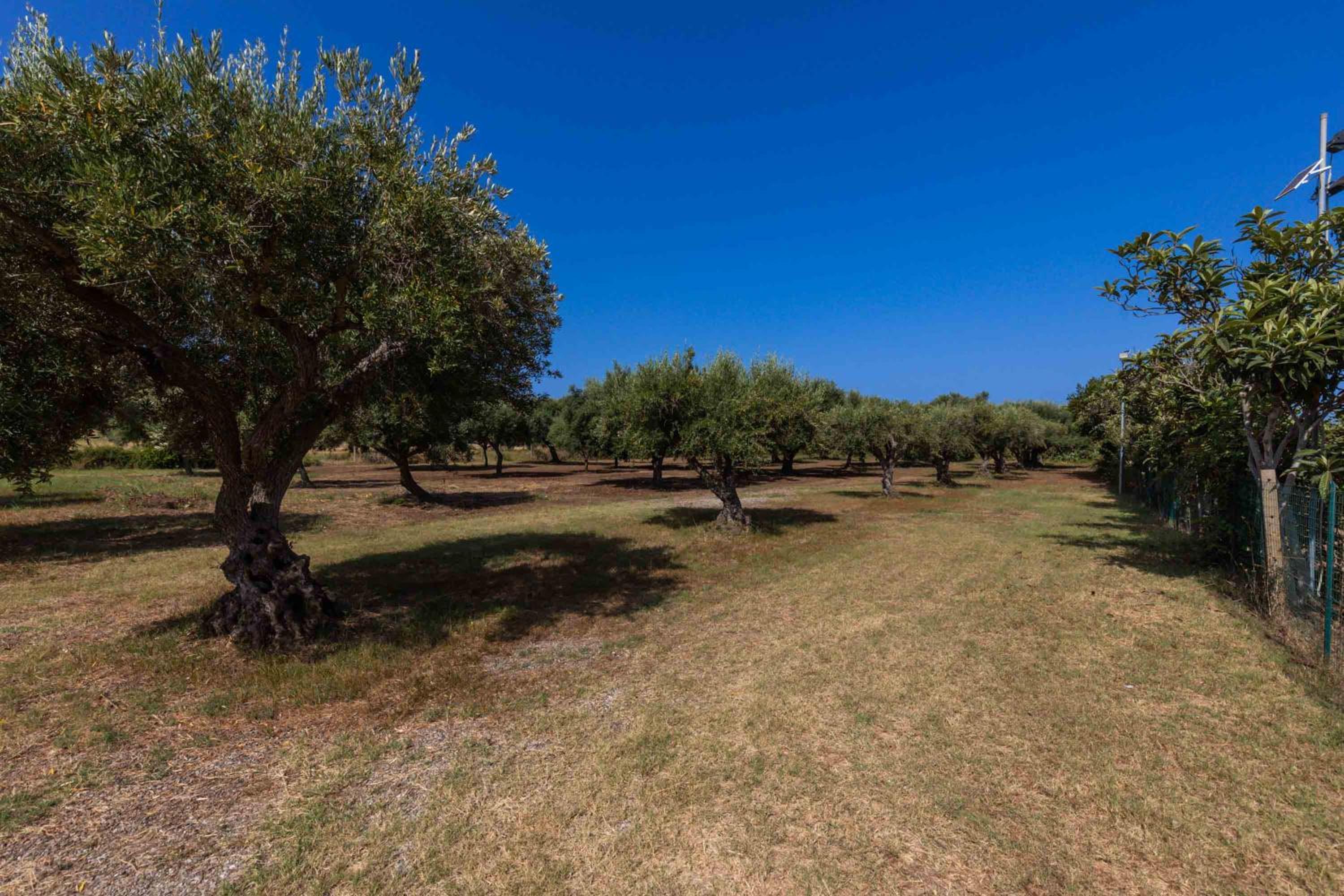 Appartamenti Torre