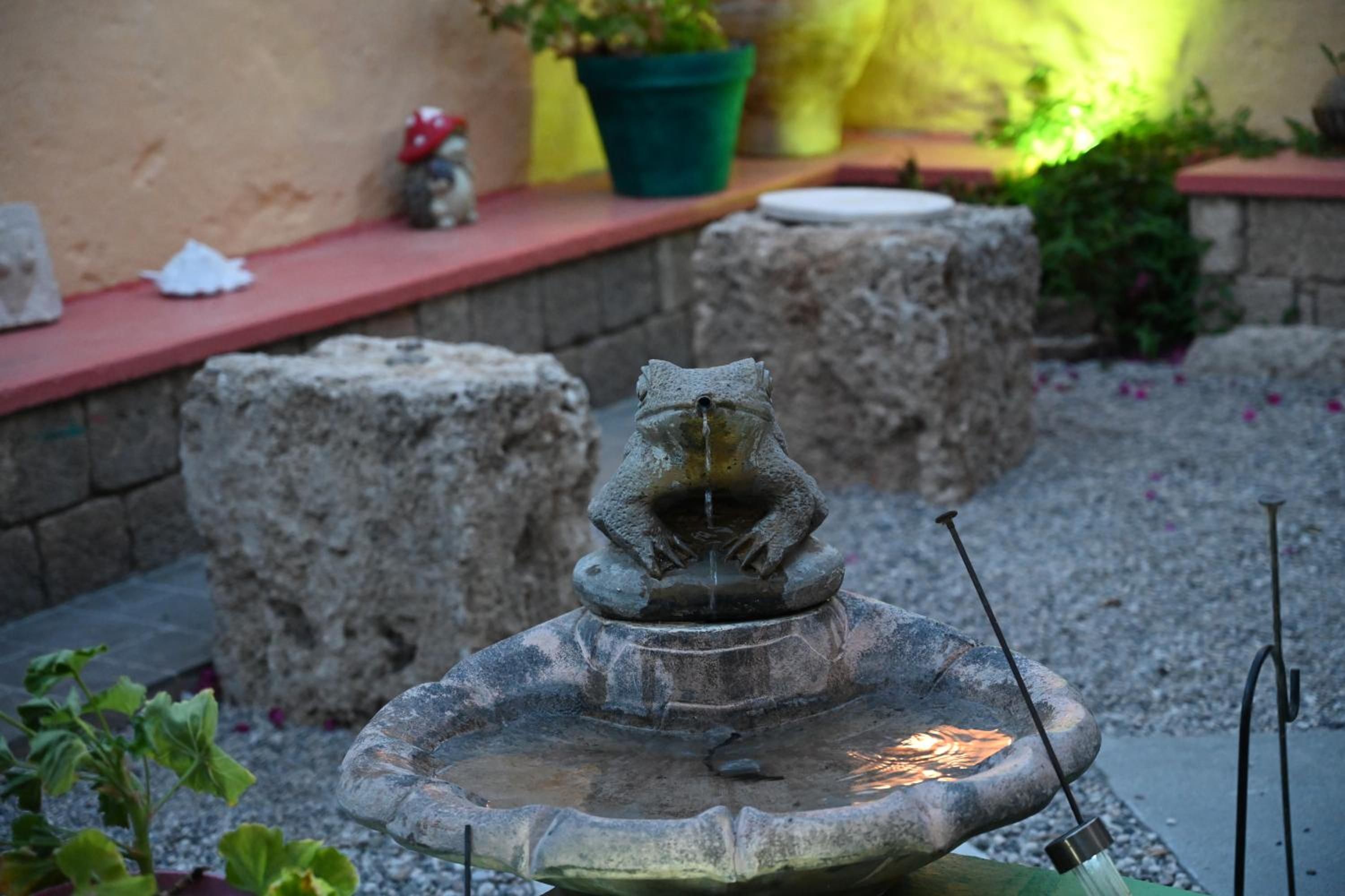 Photo 46