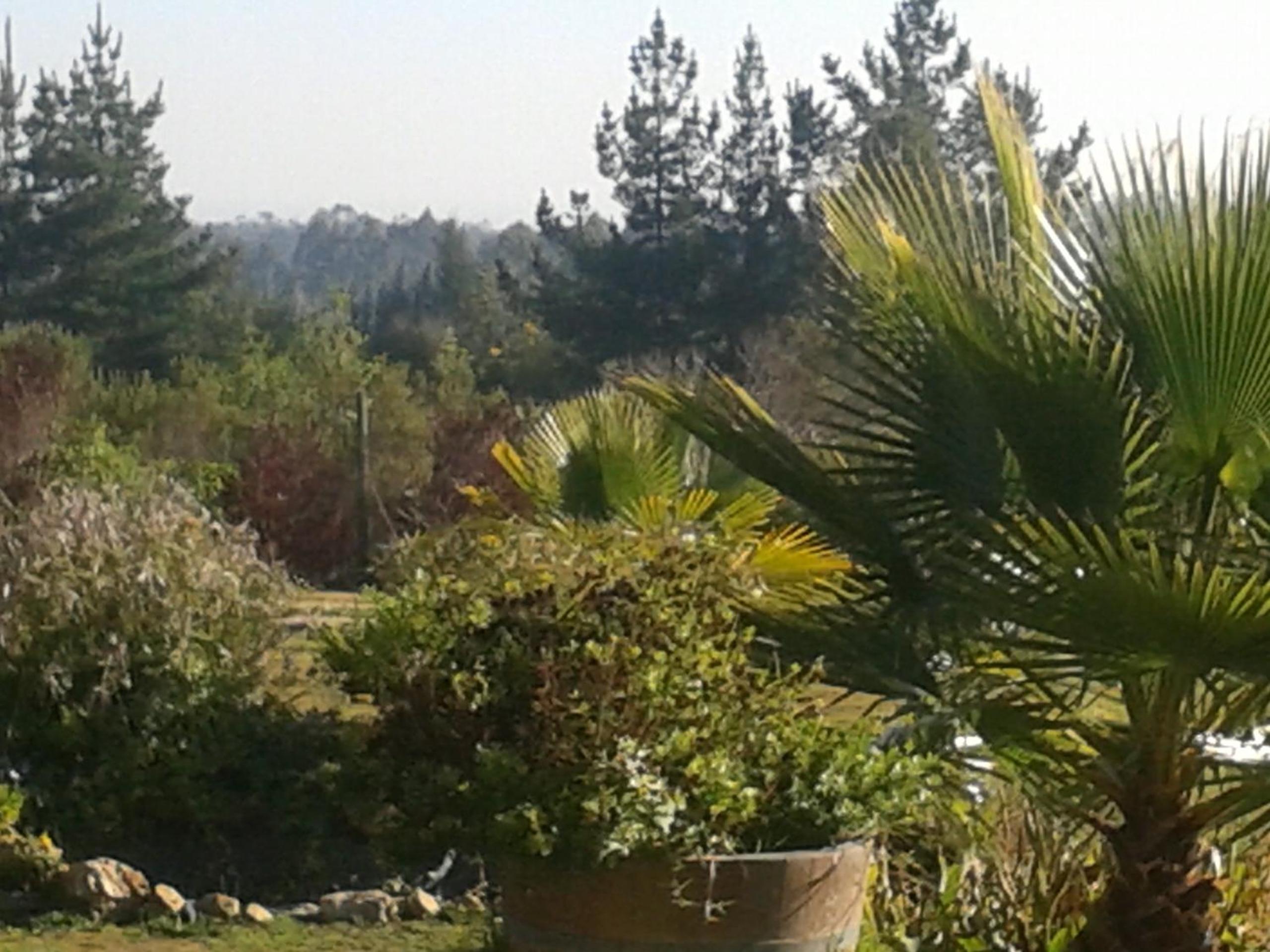 La Querencia de Algarrobo