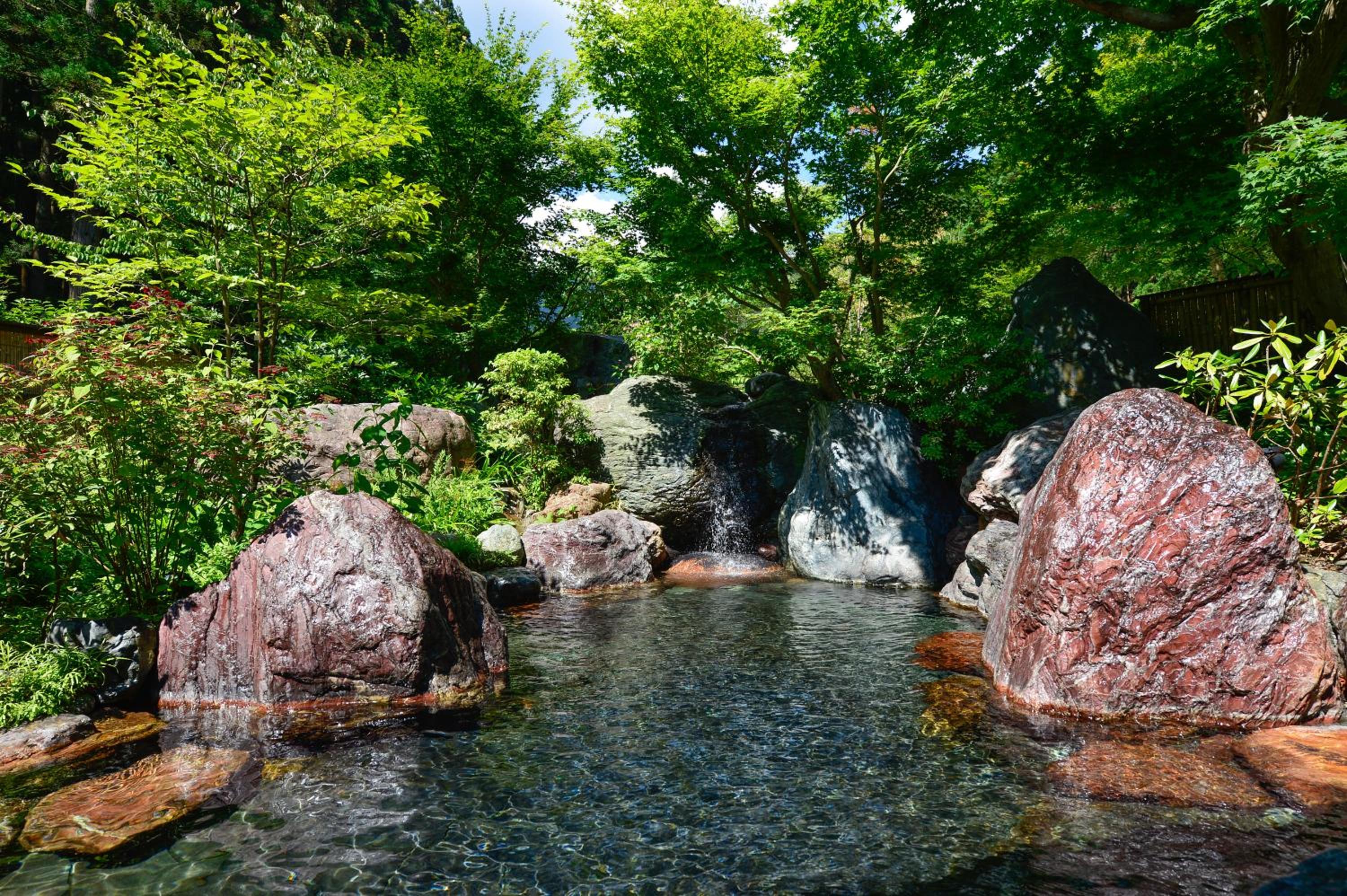 Houshi Onsen Chojukan