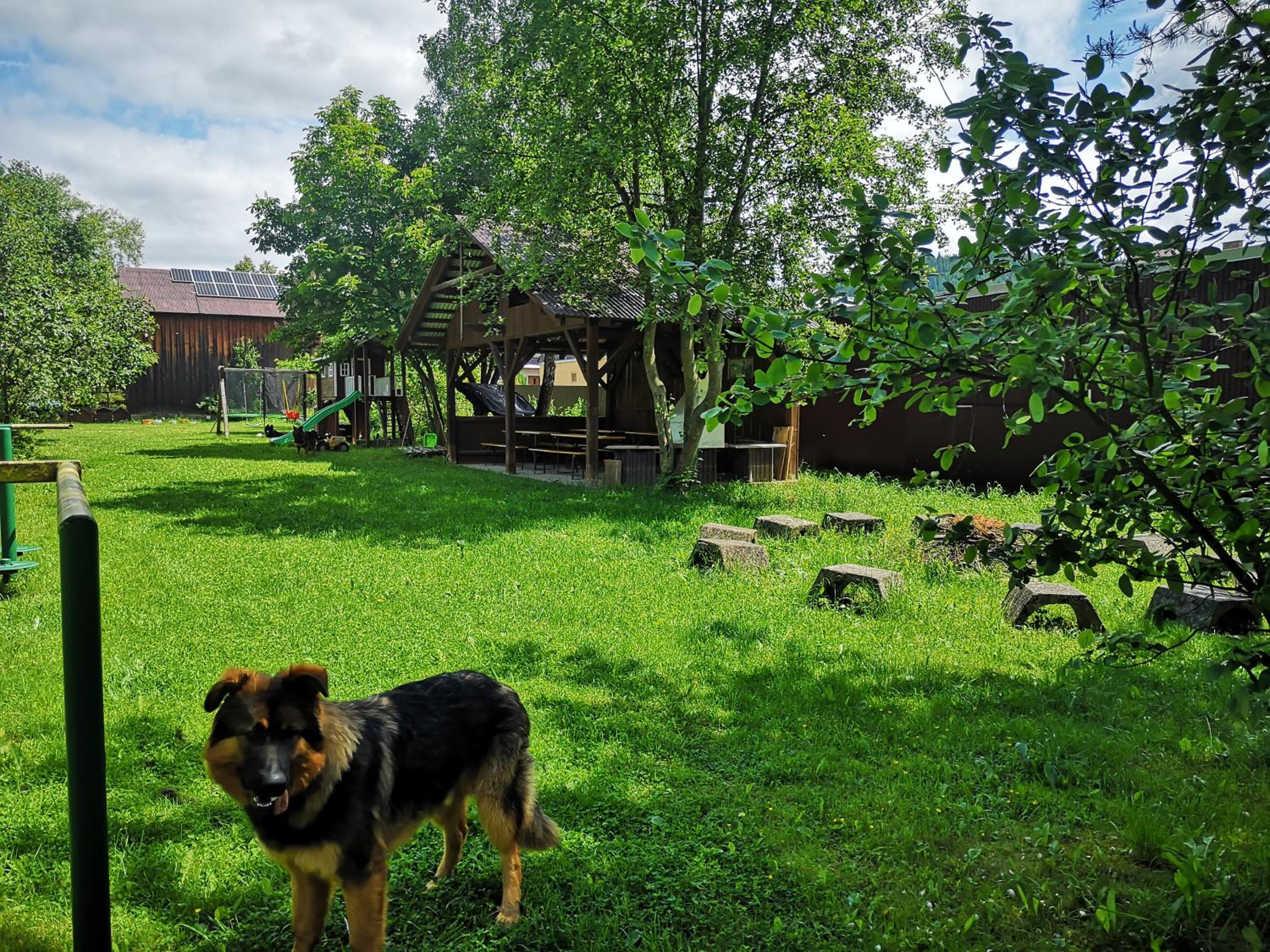 Arenda Noclegi Niedzica