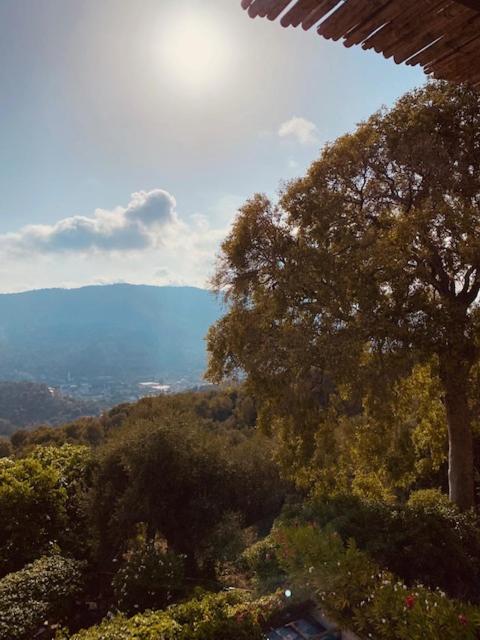 Casa la meridiana view 5