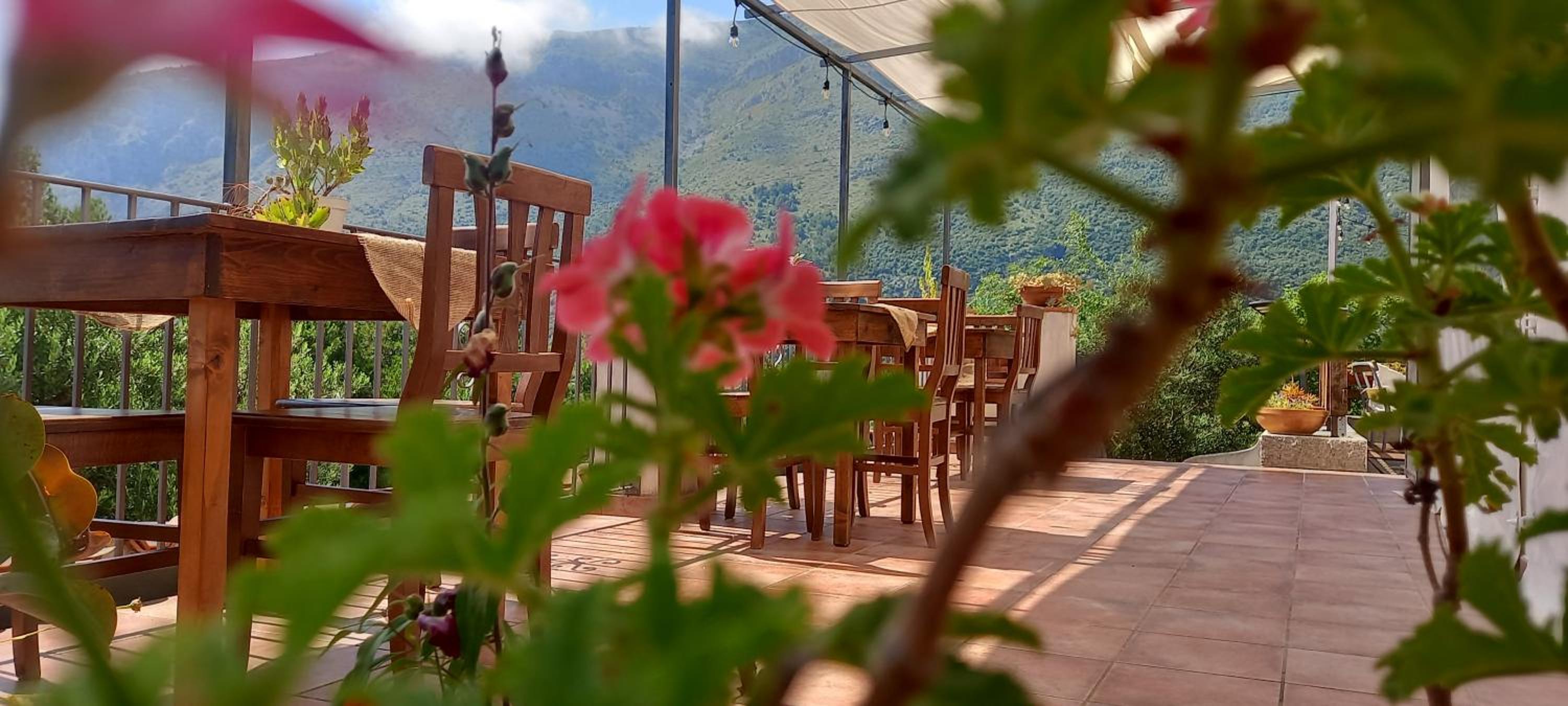 B&B da Maria Teresa - Maratea view 5