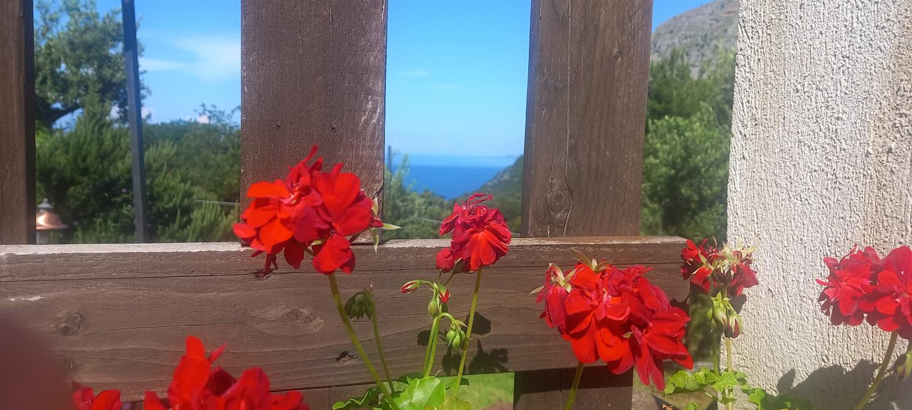 B&B da Maria Teresa - Maratea view 4