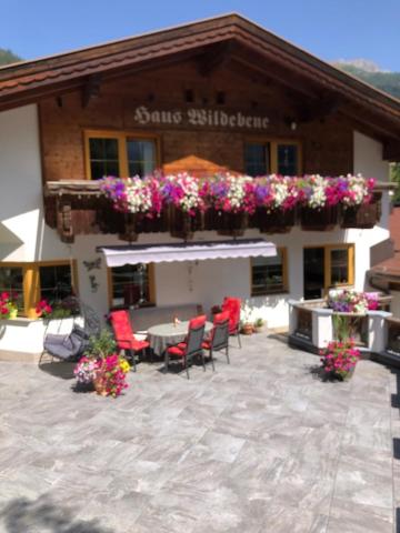 Haus Wildebene