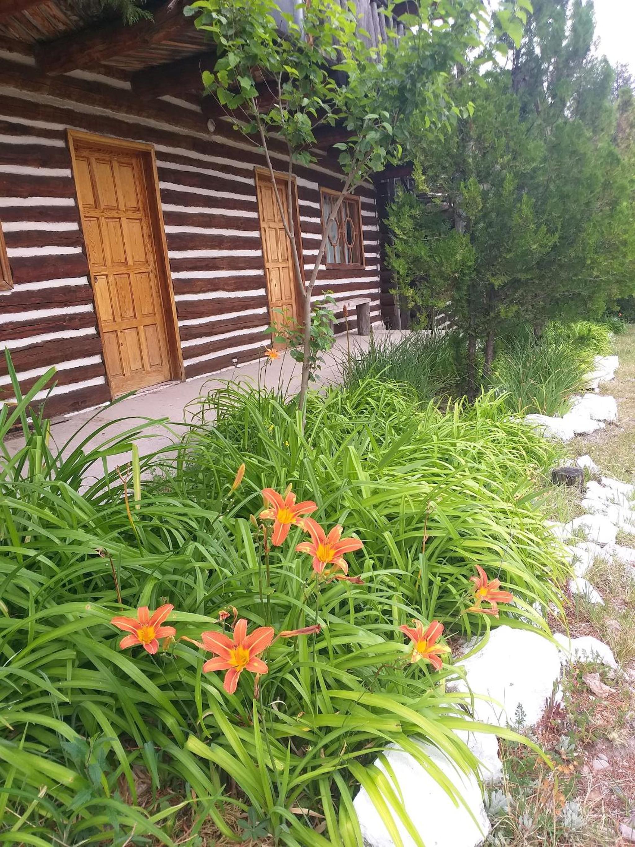 Photo 6