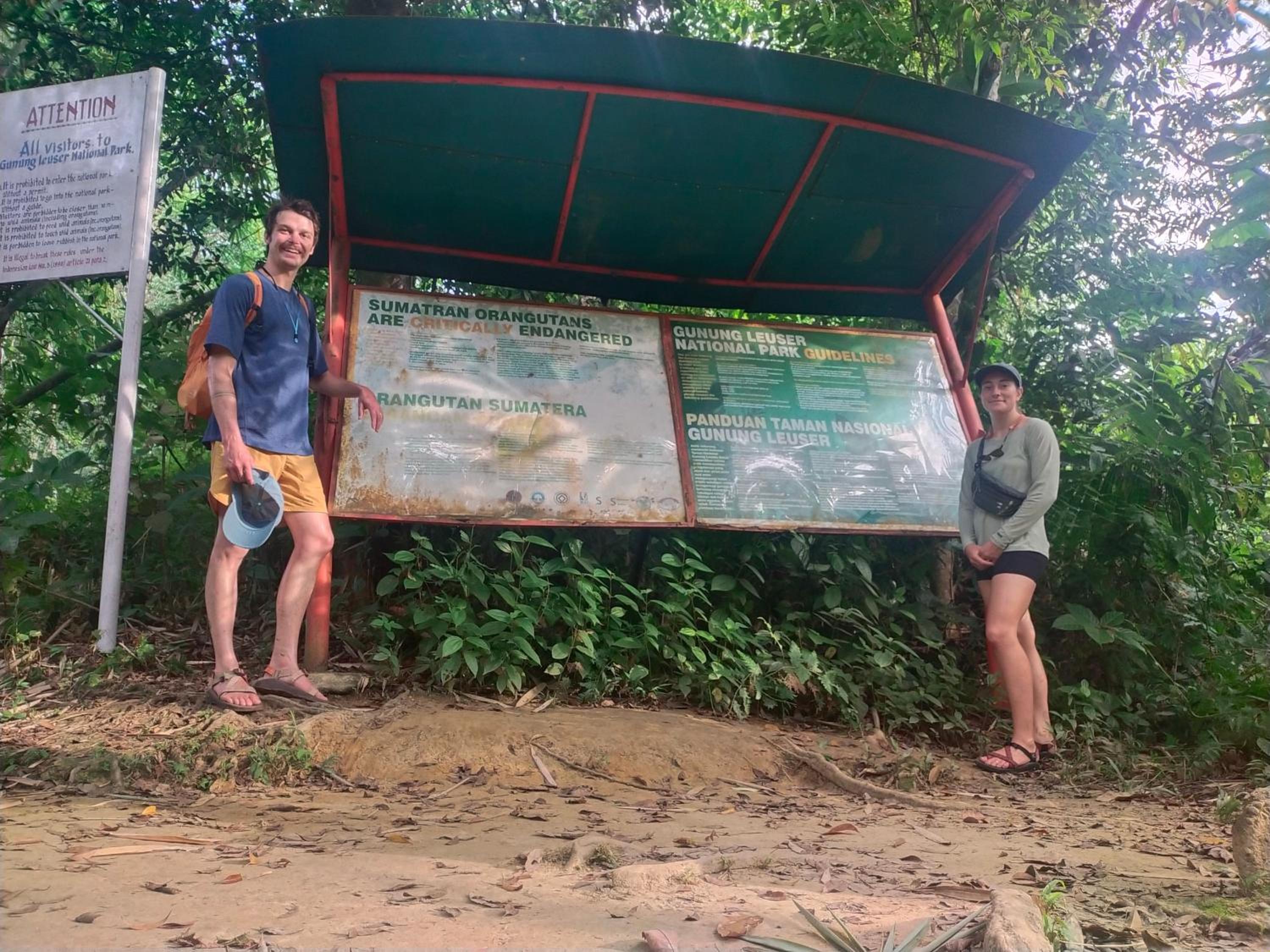 Jungle View Homestay & Guesthouse Only Stay Here Book Treking With Us view 5