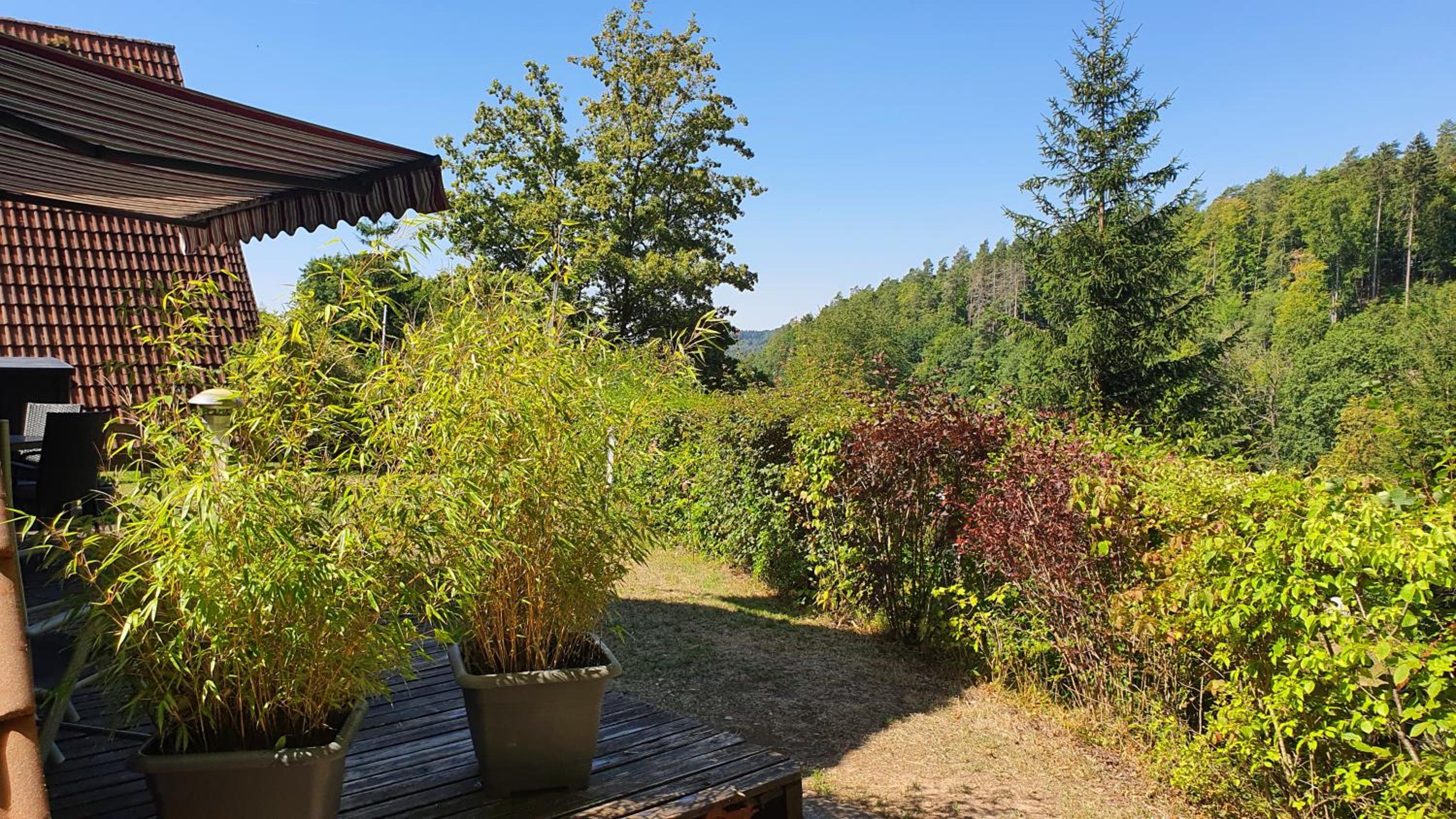 Ferienhaus am Wald