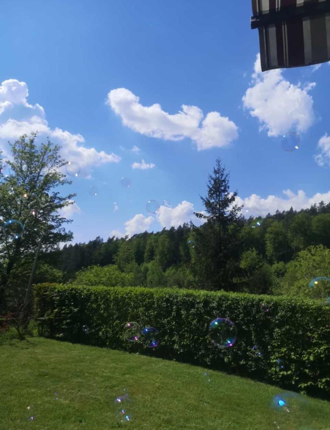 Ferienhaus am Wald