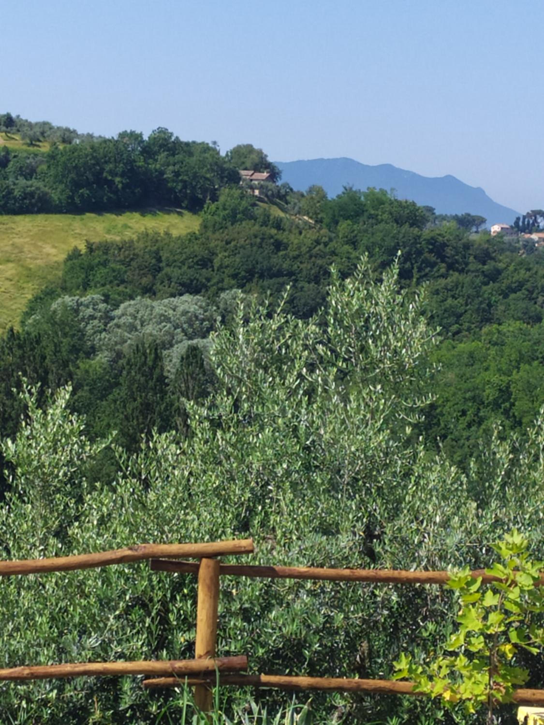 Casa Nupa view 2