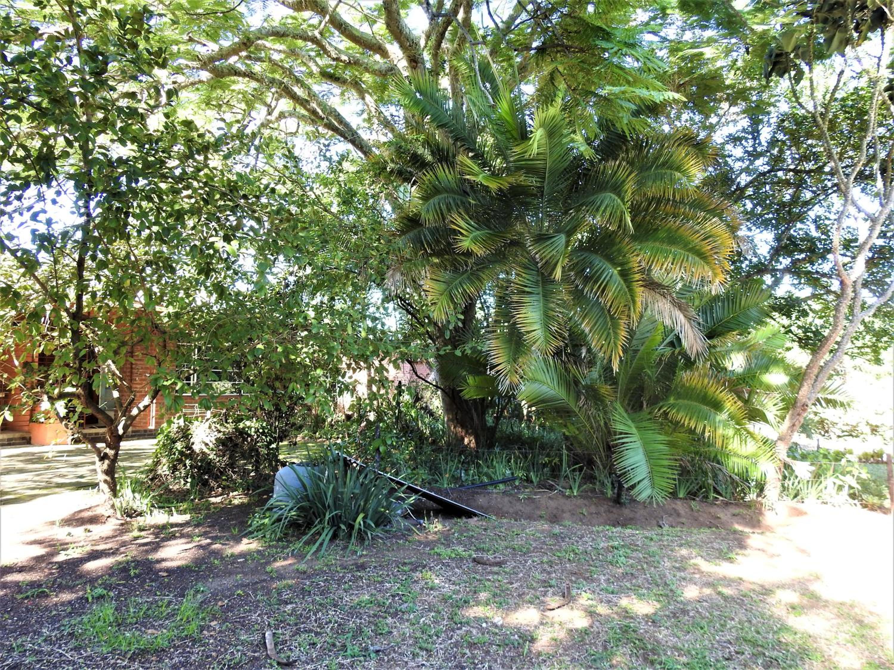 Dinizulu Cottage