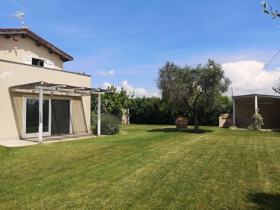 other