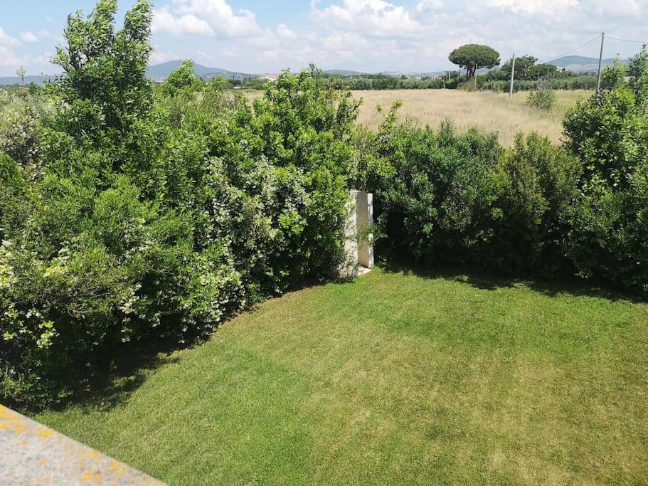 Meravigliosa Villa a P. Romana view 3