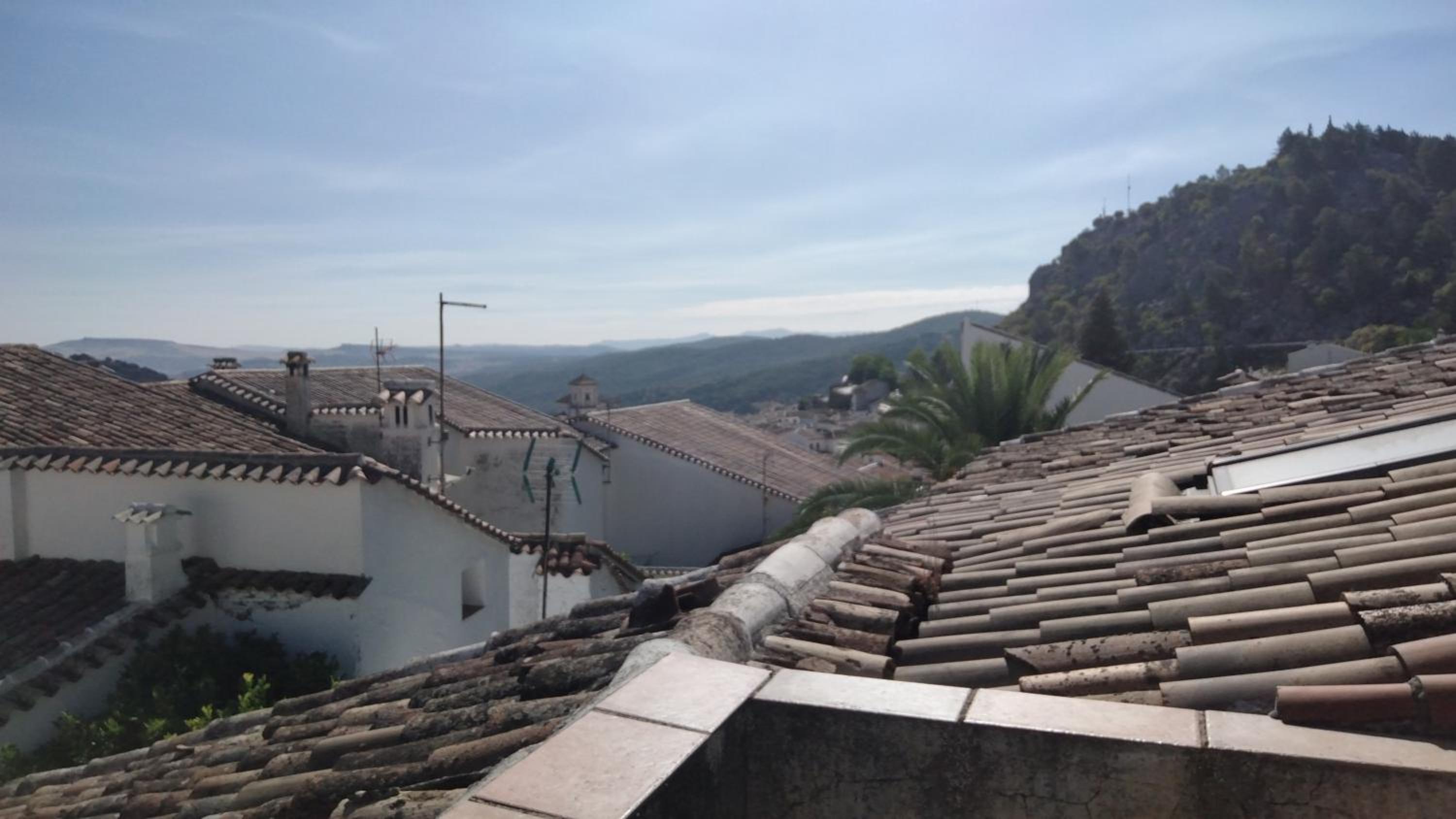 roof