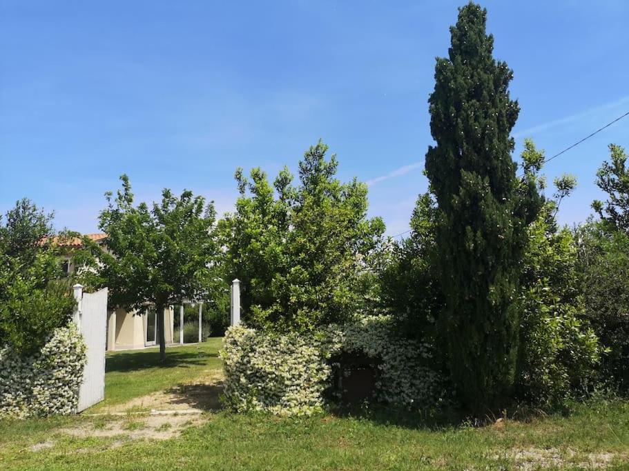 Photo 25