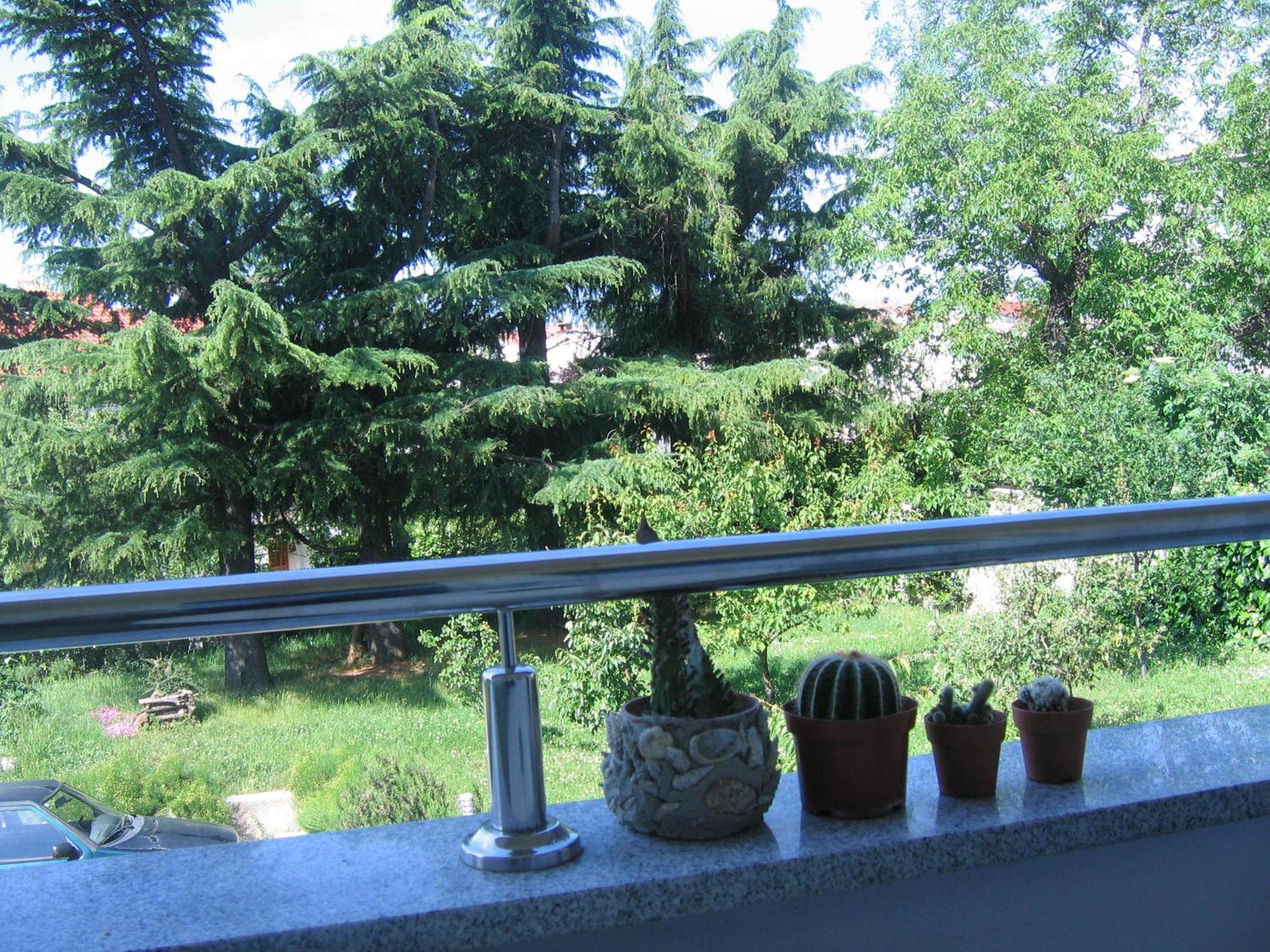 Apartment Cvjetna