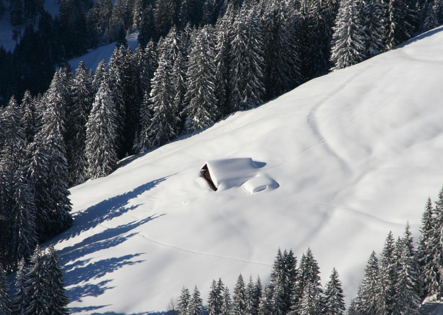 Alpenpension Elferblick