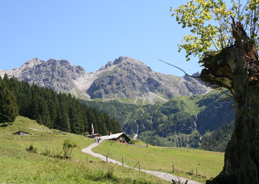 Alpenpension Elferblick
