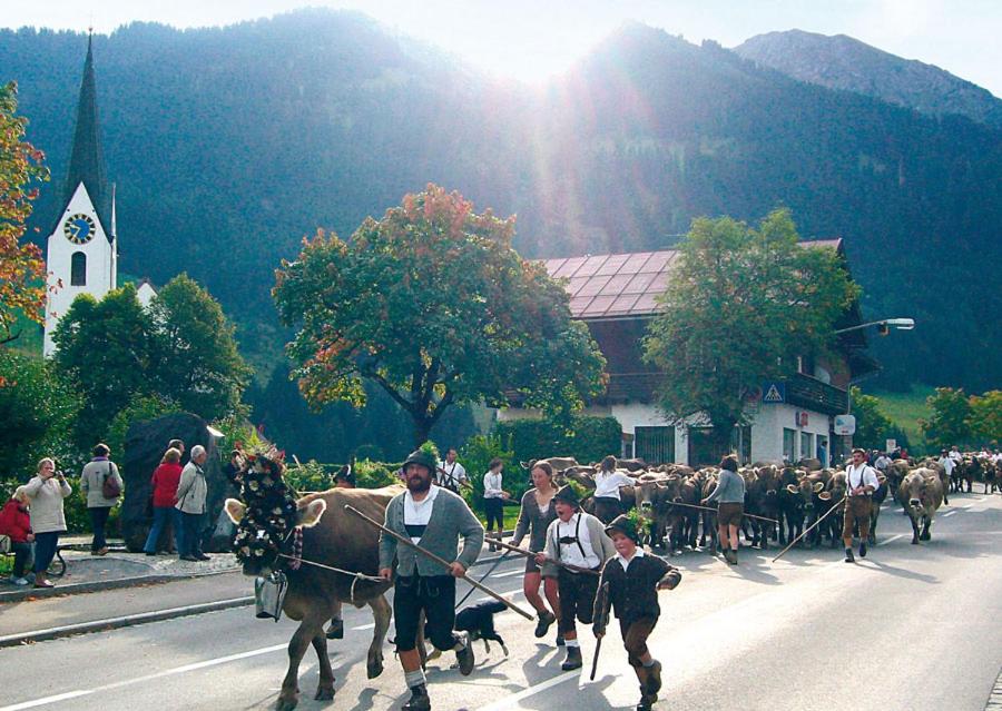 Alpenpension Elferblick