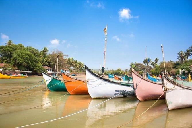 Calangute Beach Palms