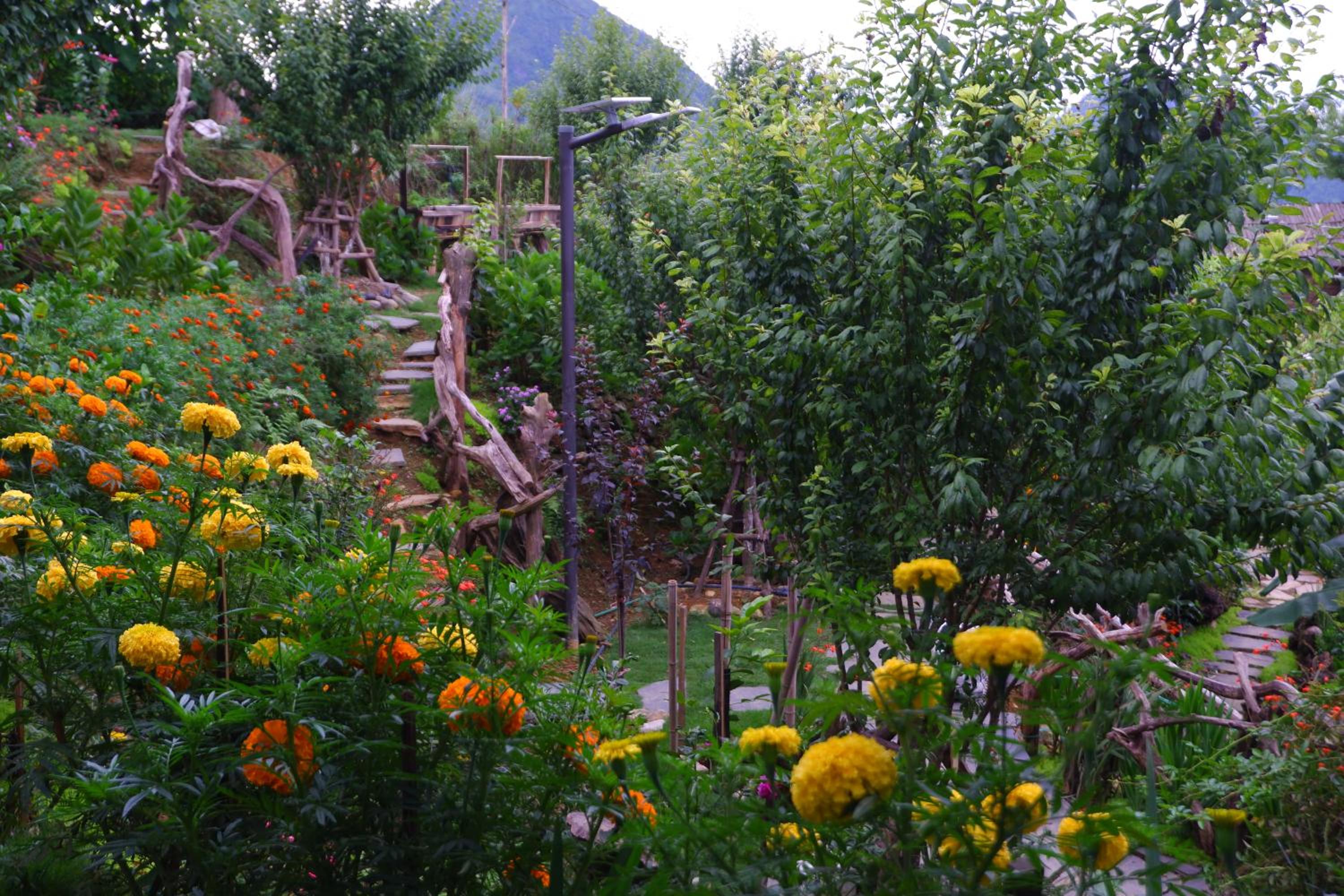 Ta Phin Cottage view 4