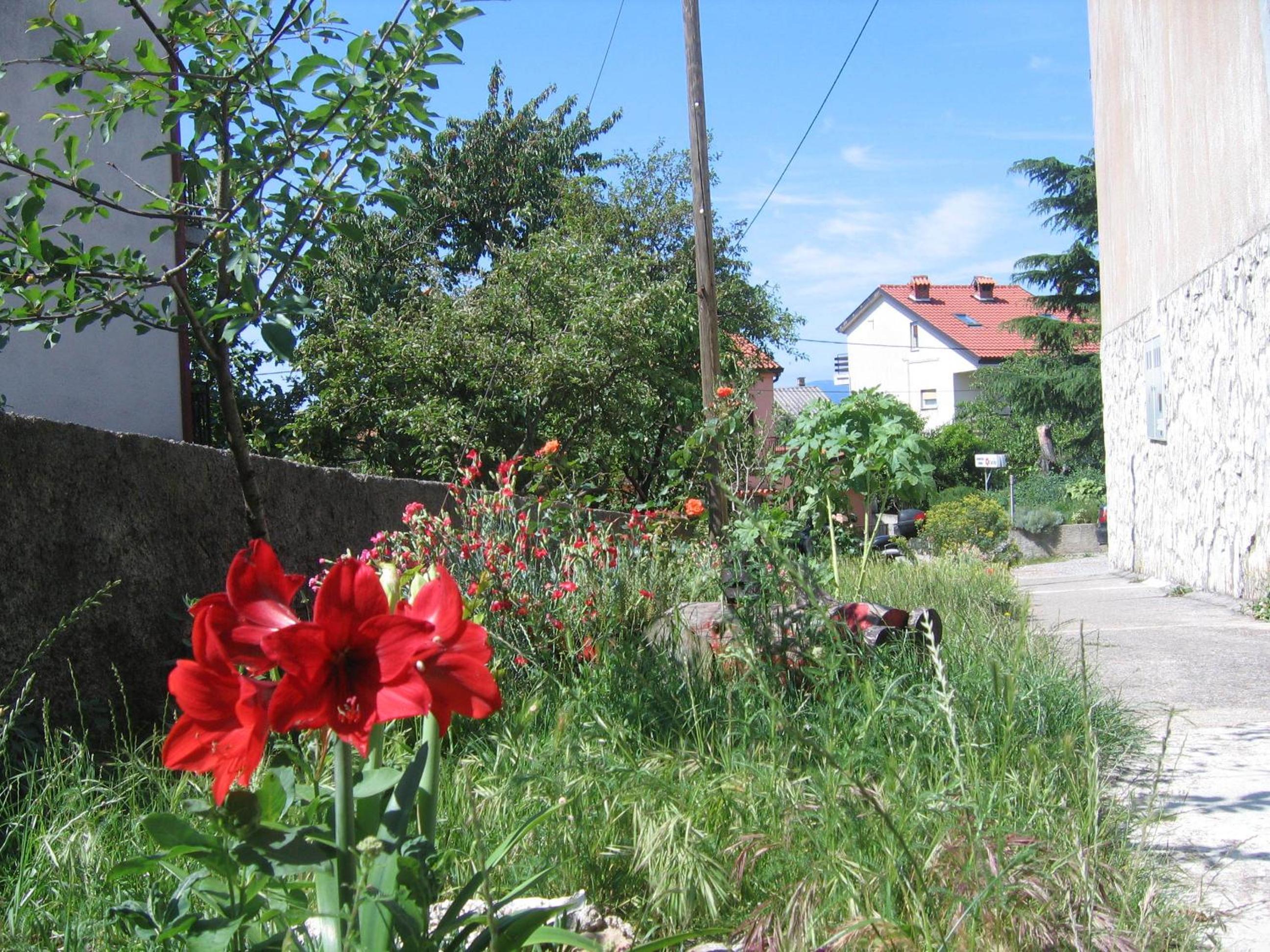 Apartment Cvjetna
