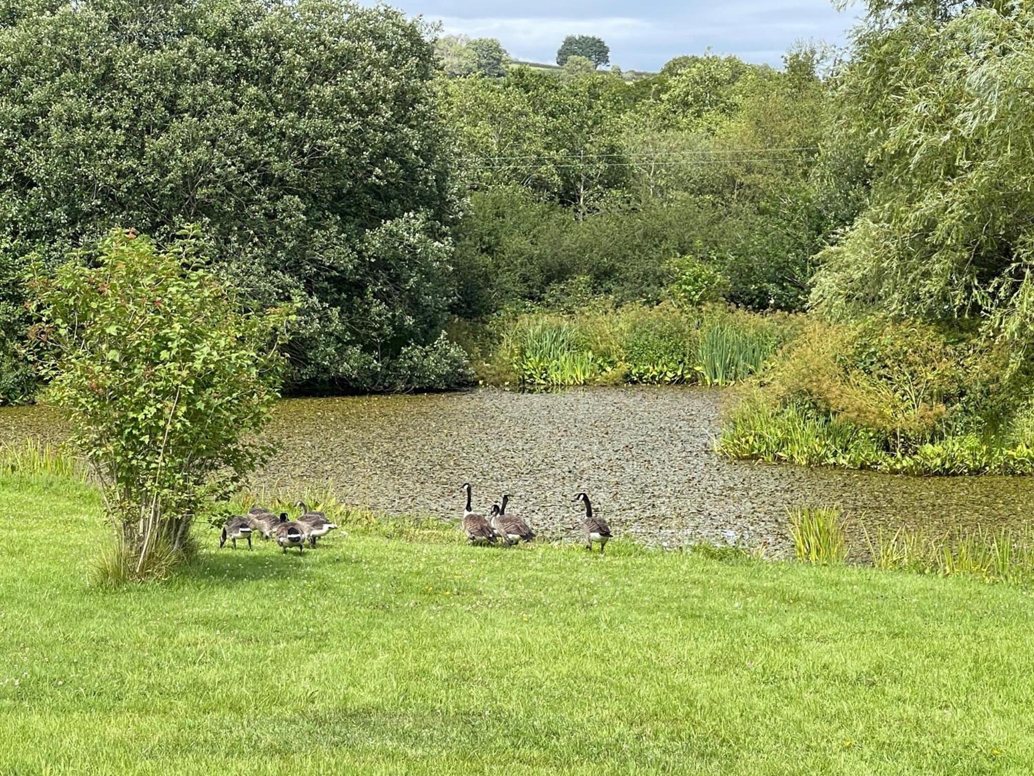 Canaston Waterside Lodges