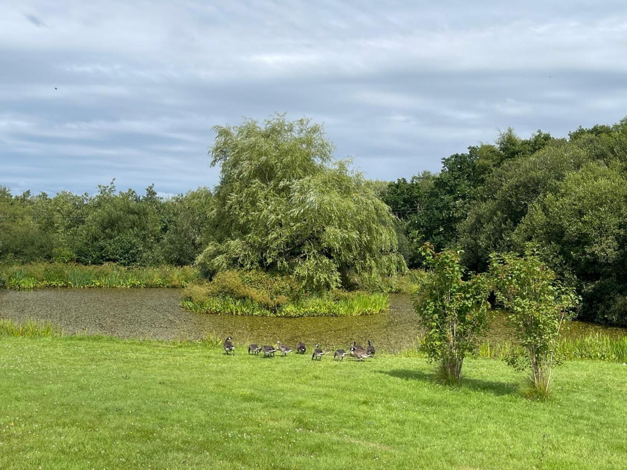 Canaston Waterside Lodges