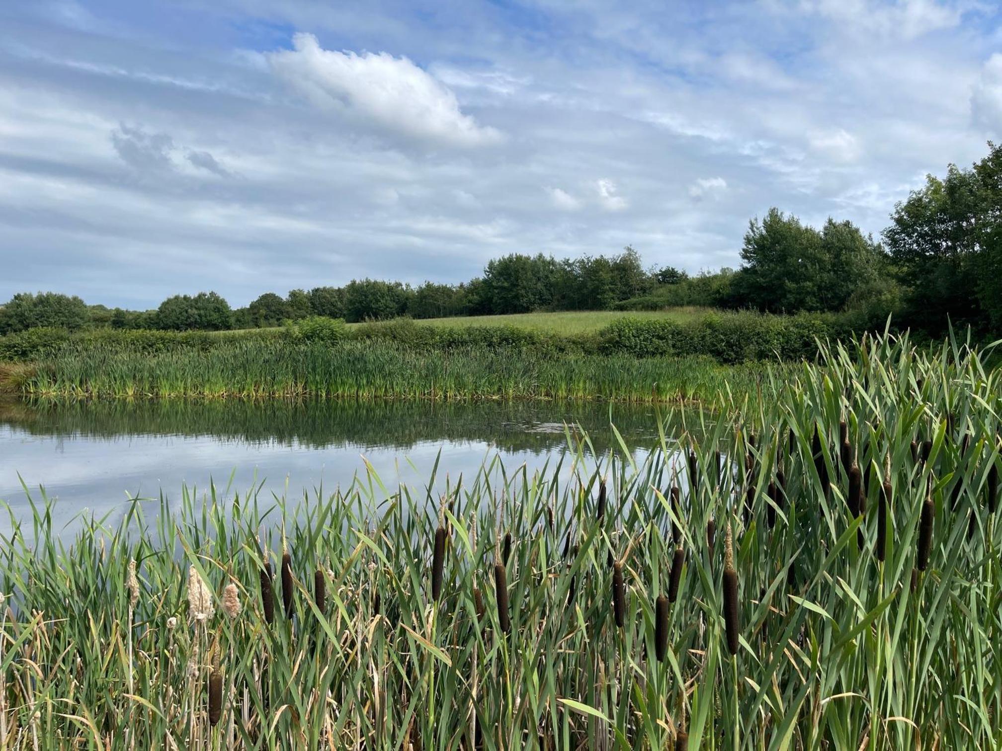 Canaston Waterside Lodges