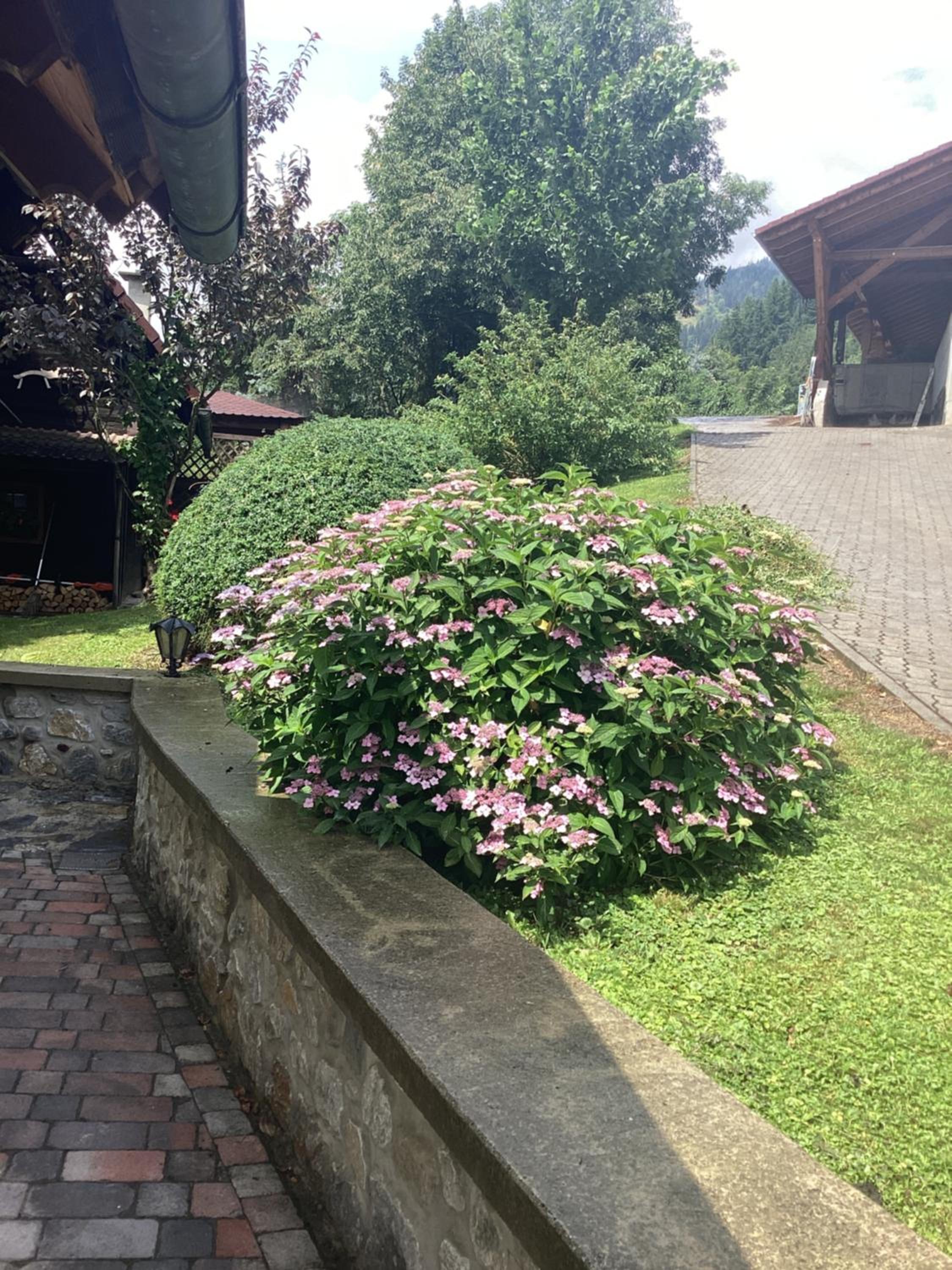 Urlaub am Bauernhof - Zettlerhof Apartment