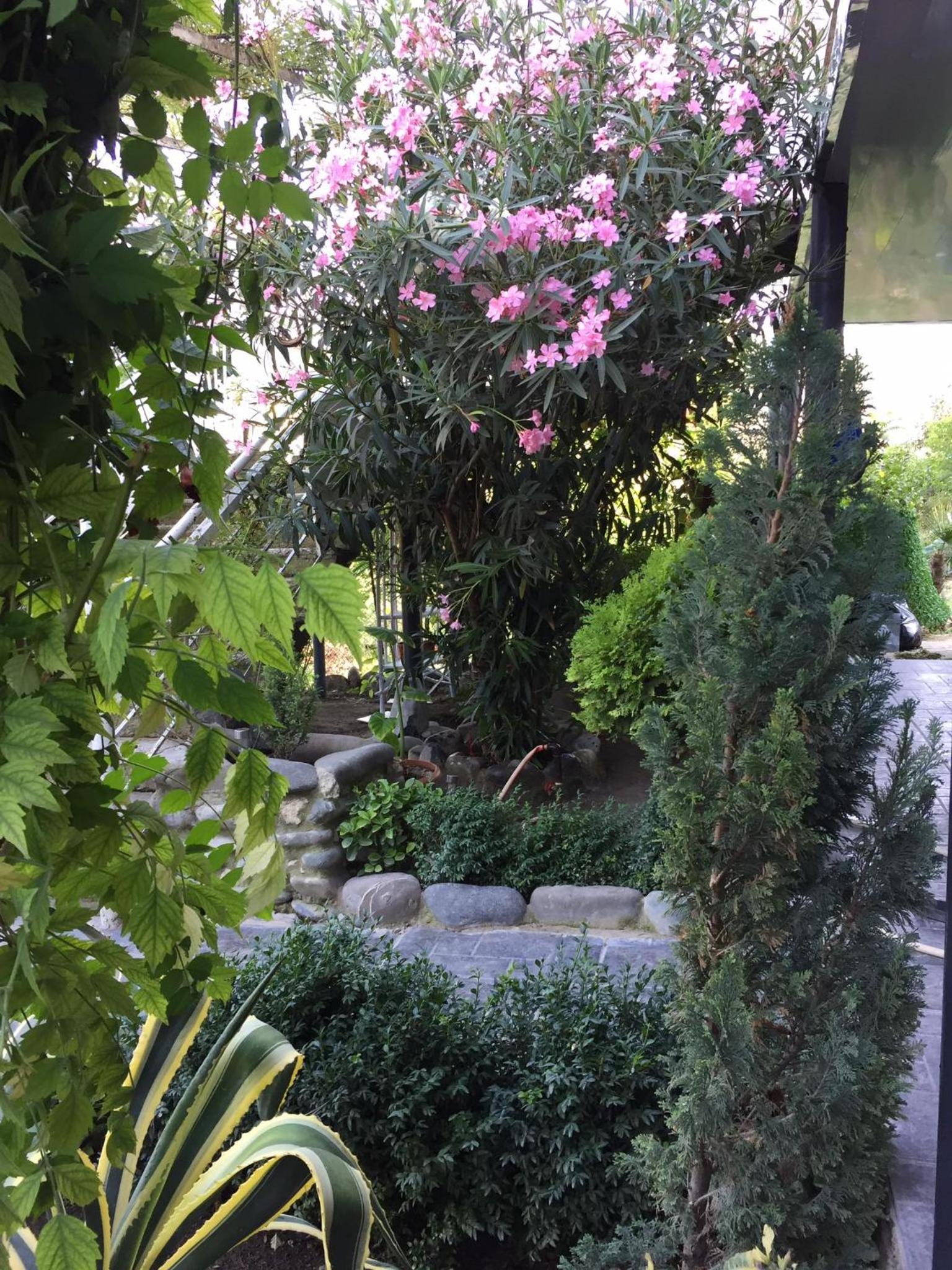Photo 25