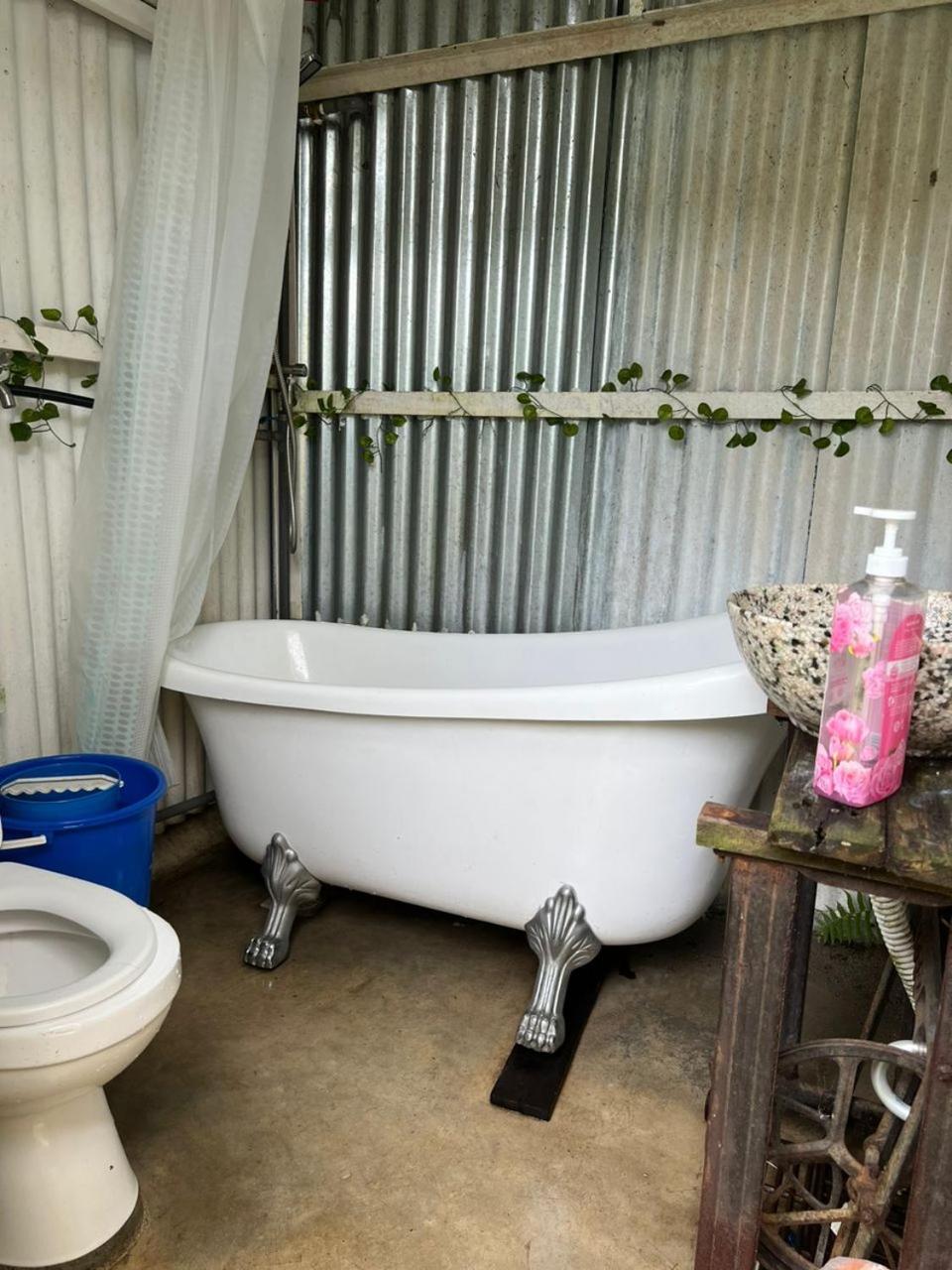 The Backyard Glamping Cameron Highlands