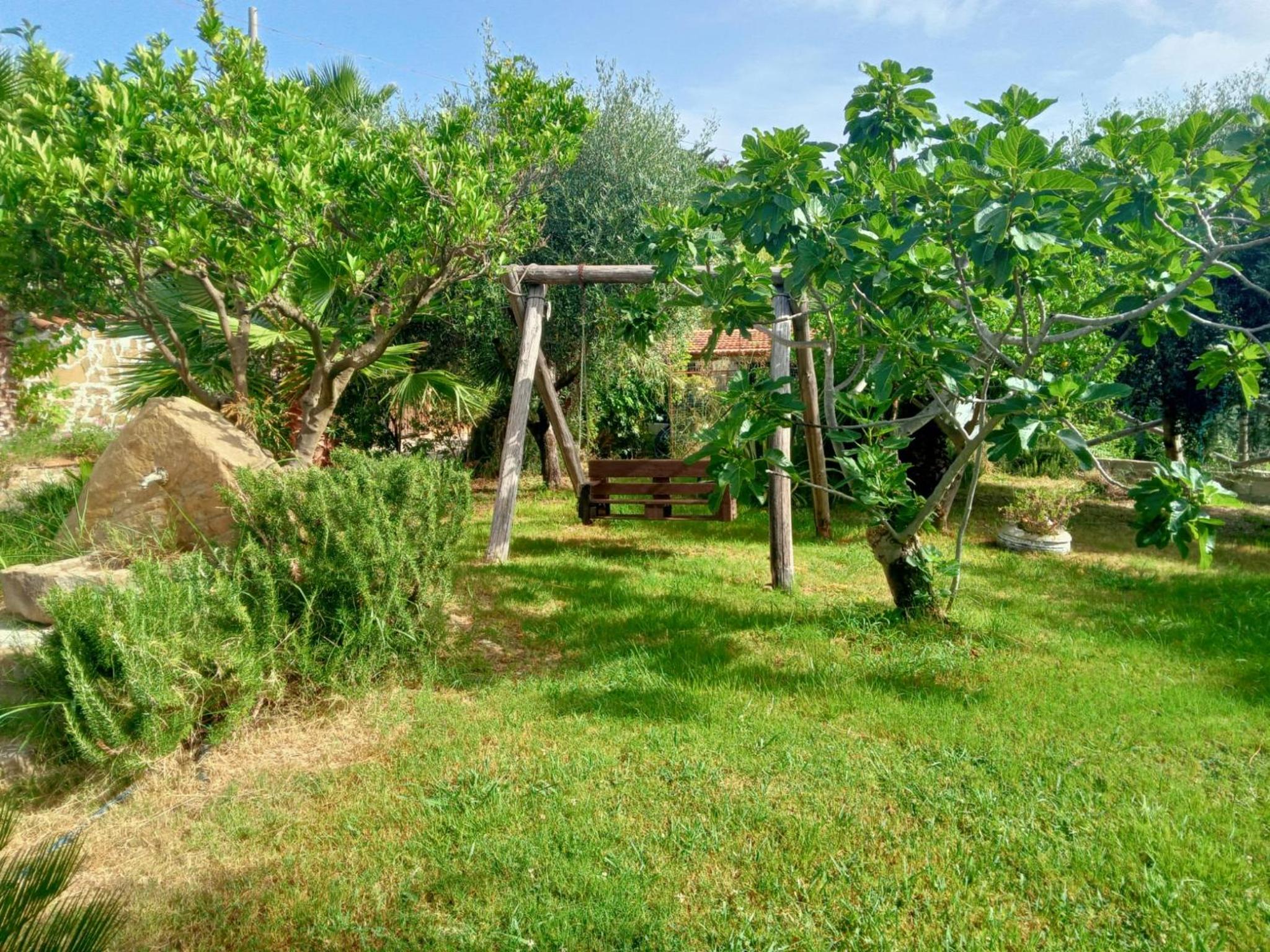Casale 920