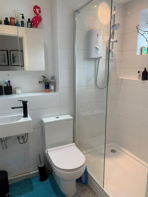 Lovely 1 Bedroom Flat in zone 1/2 London