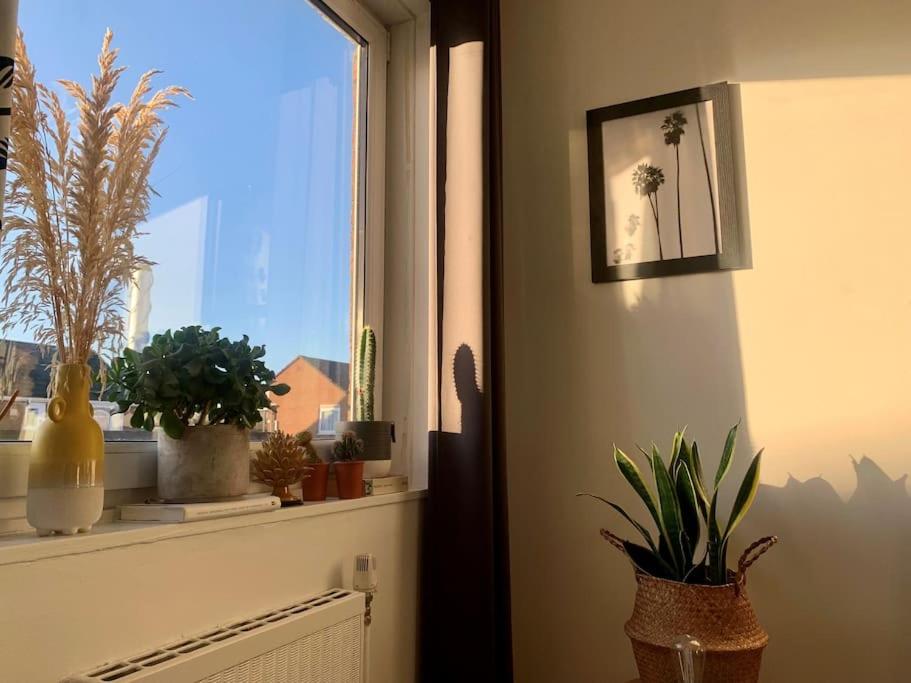 Lovely 1 Bedroom Flat in zone 1/2 London