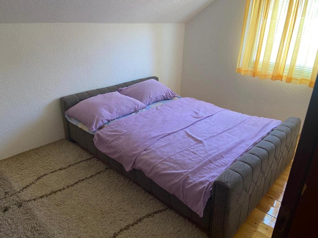 Apartman Zeko