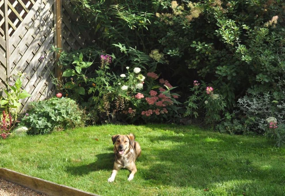 Castle Cottage, Wadhurst view 5