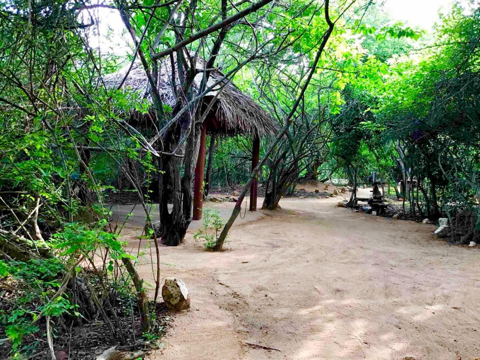 Leopard Camping Yala