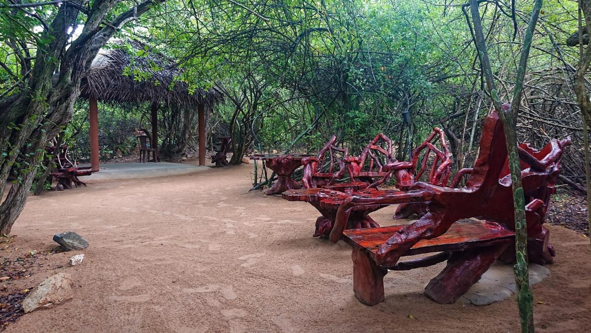 Leopard Camping Yala