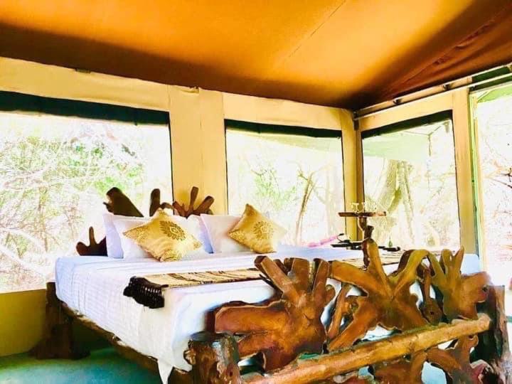 Leopard Camping Yala