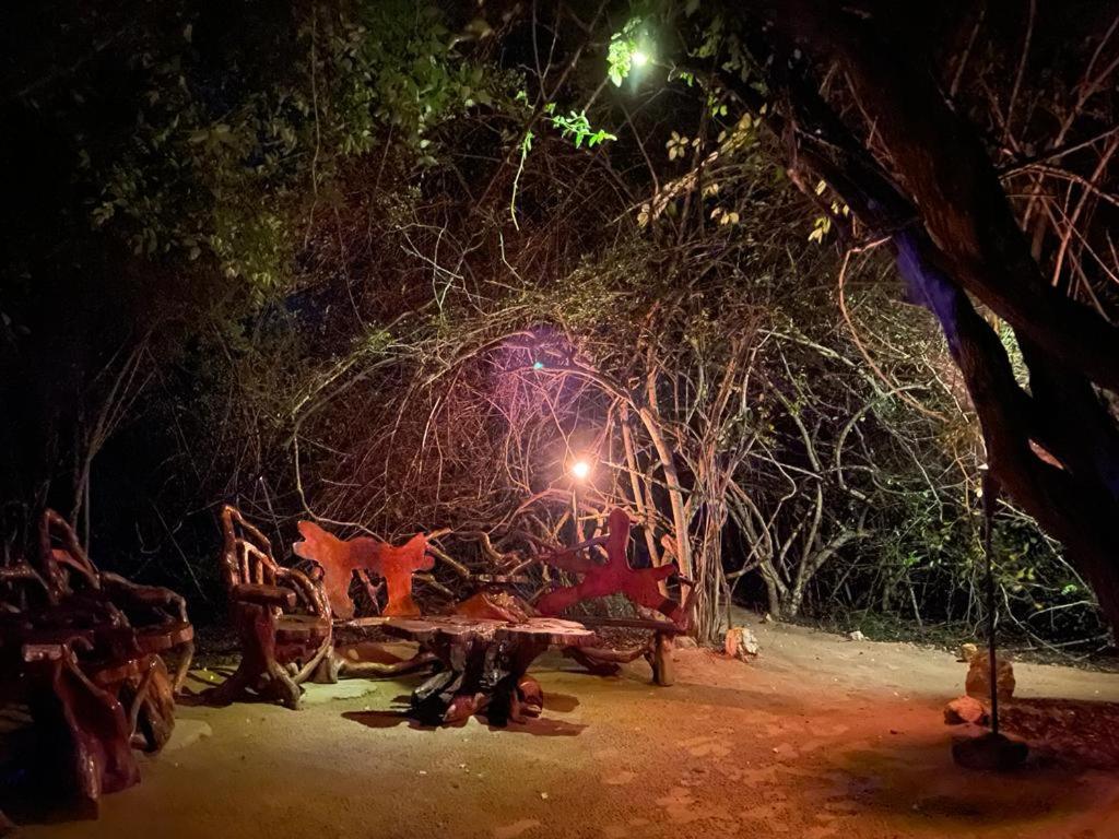 Leopard Camping Yala