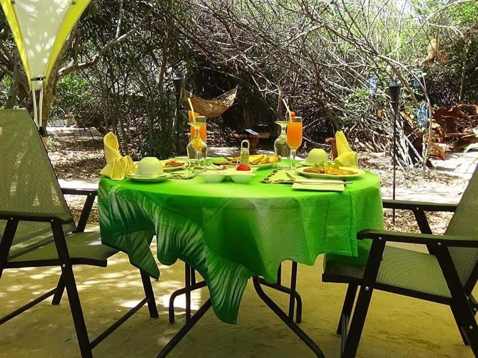 Leopard Camping Yala