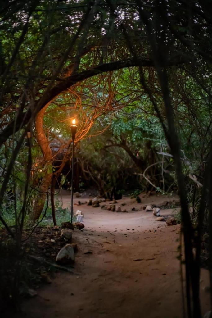 Leopard Camping Yala