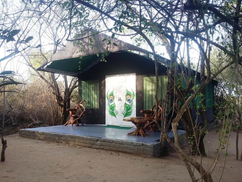 Leopard Camping Yala