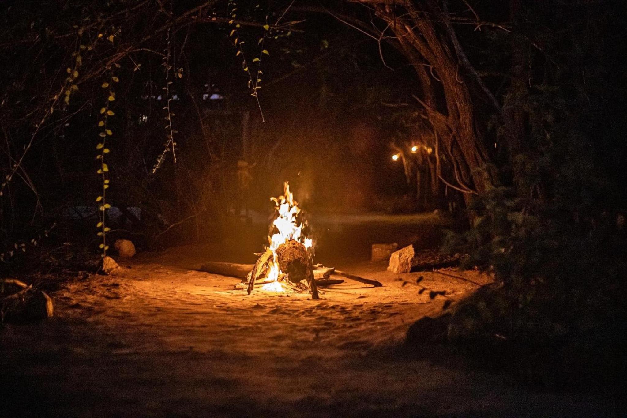 Leopard Camping Yala