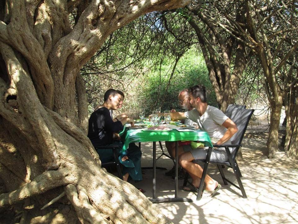 Leopard Camping Yala