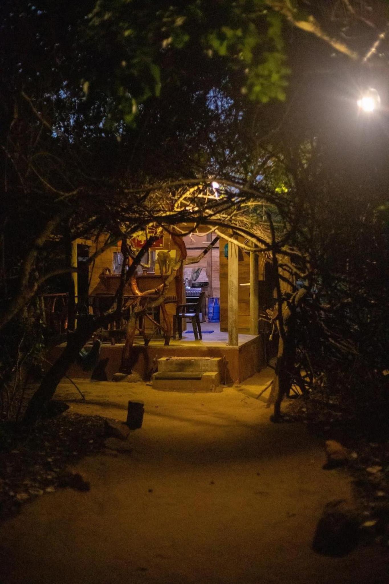 Leopard Camping Yala