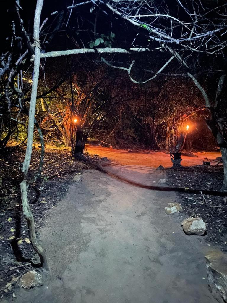Leopard Camping Yala