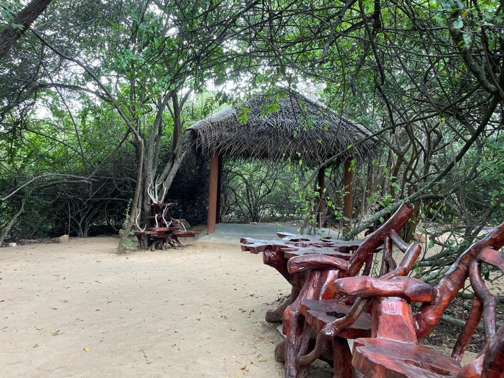 Leopard Camping Yala